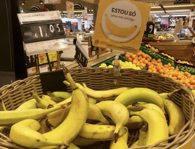 Bananas's basket with a sign saying "I'm alone, take me with you".